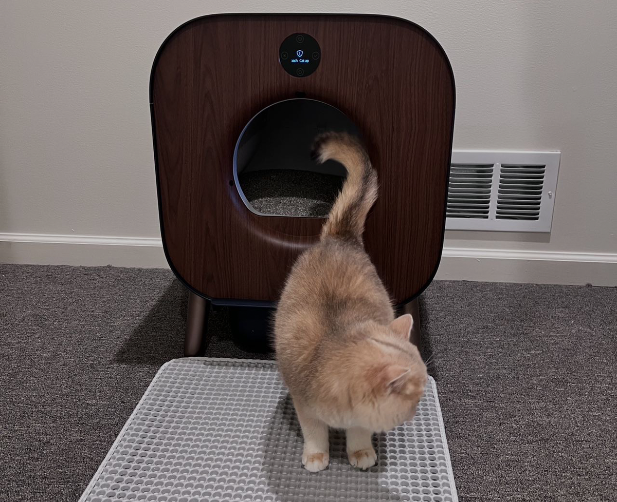 PAWBBY: Pioneering a New Era of Pet Safety